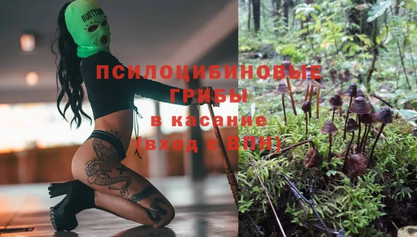 синтетический гашиш Арсеньев