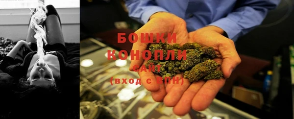ешки Аркадак