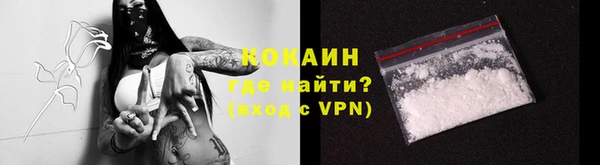 ешки Аркадак