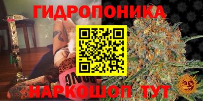 Альфа ПВП Аргун