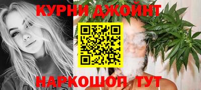 крисы Аргун