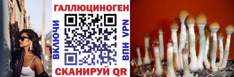 наркота Аргун kraken зеркало Галлюциногенные грибы прущие грибы