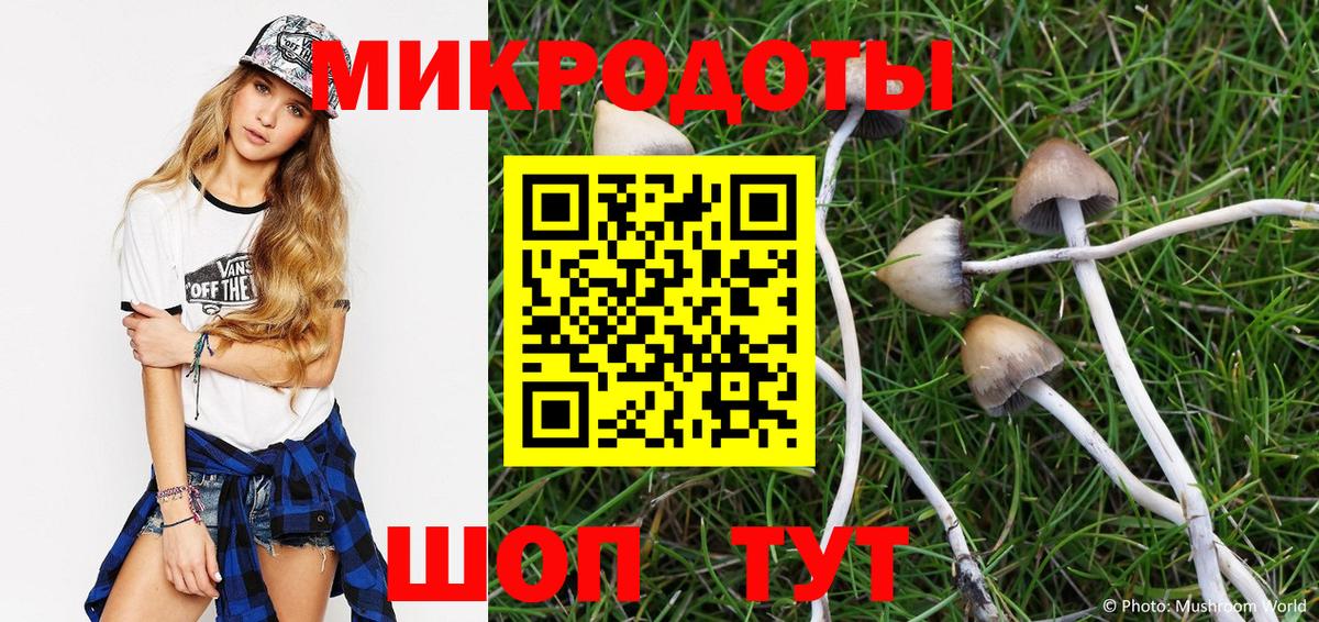 Псилоцибиновые грибы Psilocybe Аргун