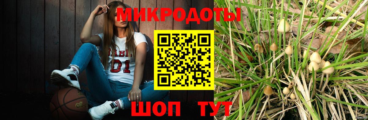 Галлюциногенные грибы Cubensis  Вход с VPN  Аргун  Галлюциногенные грибы Psilocybe 