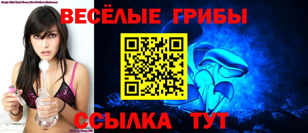 что такое наркотик  Аргун  Галлюциногенные грибы ЛСД 