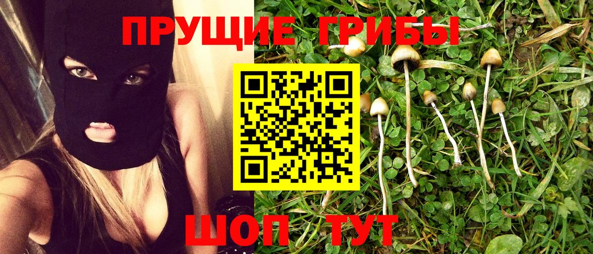 Псилоцибиновые грибы Psilocybe Аргун